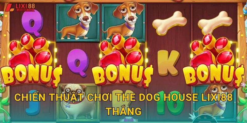 Chiến thuật chơi The Dog House Lixi88 thắng