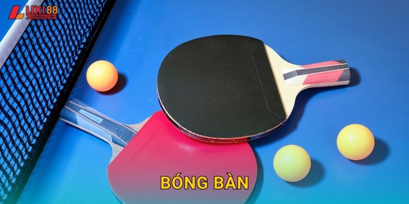 Bóng Bàn Lixi88 – Tốc Độ Và Kỹ Thuật Đỉnh Cao