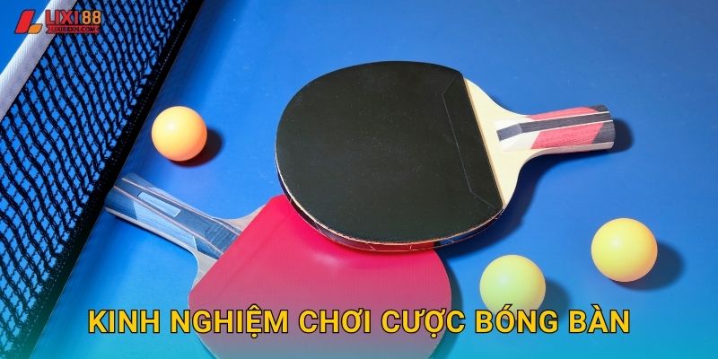 Kinh nghiệm chơi cược bóng bàn