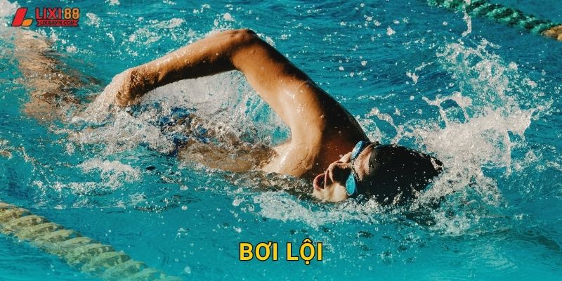Bơi Lội Lixi88 – Olympic Và Giải Vô Địch TG